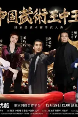 中国武术王中王第二季封面图