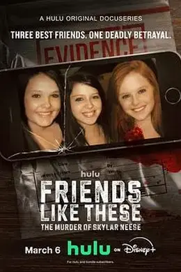 像他们这样的朋友 斯凯拉尼斯的谋杀案封面图