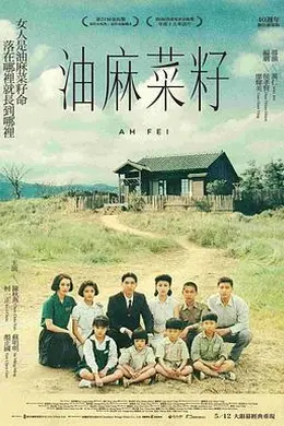 油麻菜籽封面图