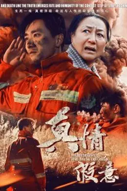 真情假意海报图片