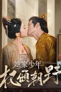 她家少年权倾朝野海报图片