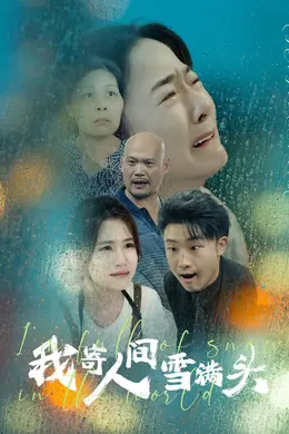 我寄人间雪满头海报图片