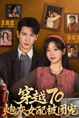 穿越70炮灰女配被团宠海报图片