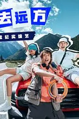 恰好去远方海报图片