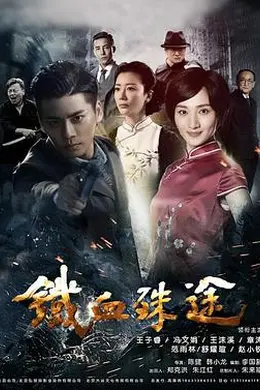 铁血殊途封面图