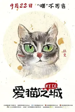 爱猫之城封面图