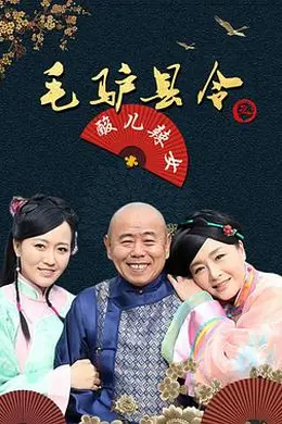 毛驴县令之酸儿辣女封面图