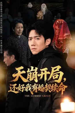 天崩开局，还好我有婚契续命海报图片