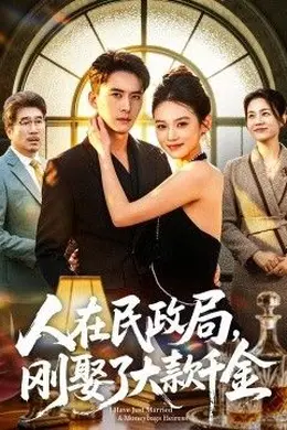 人在民政局，刚娶了大款千金海报图片