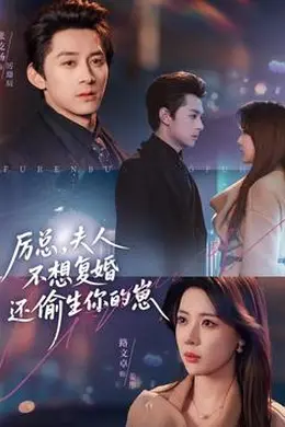 厉总，夫人不想复婚还偷生你的崽封面图