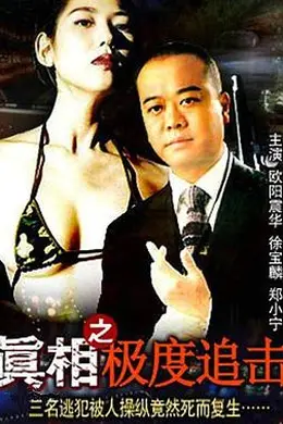 真相之极度追击封面图