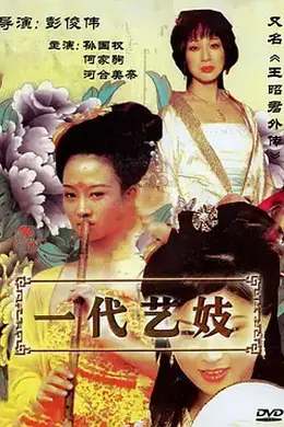 王昭君外传 (2009)封面图