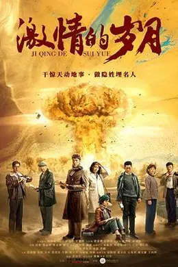 激情的岁月封面图