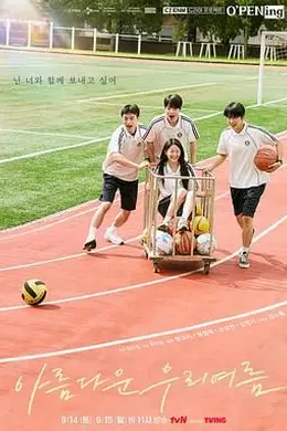 我们美丽的夏天封面图