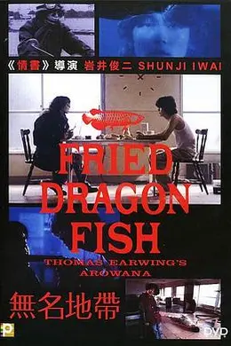 无名地带封面图