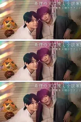 我的继兄是我最爱的小说家封面图