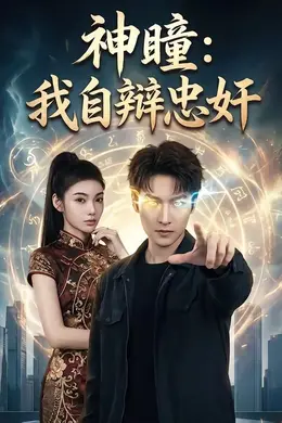 神瞳：我自辩忠奸封面图