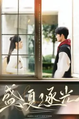 盛夏逐光海报图片