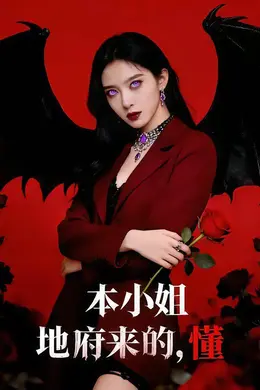 本小姐地府来的，懂海报图片