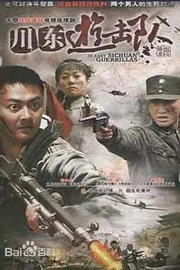川东游击队封面图