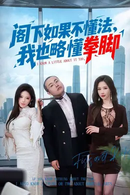 阁下如果不懂法，我也略懂拳脚封面图