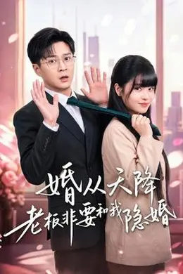 婚从天降老板非要和我隐婚封面图