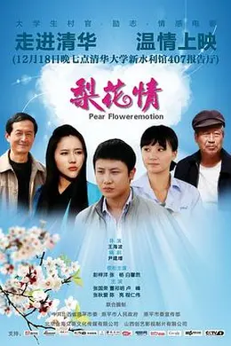 梨花情封面图