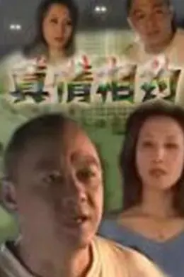 真情相约封面图