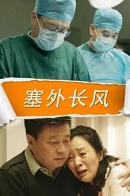 塞外长风封面图