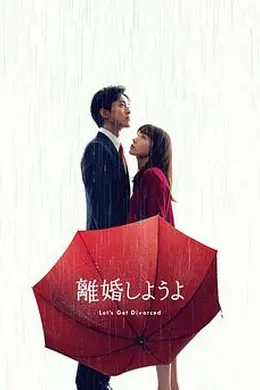 我们离婚吧海报图片