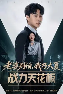 老婆别怕，我乃大夏战力天花板封面图