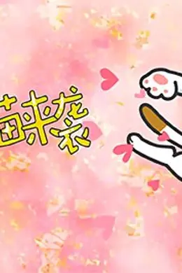 DHC良子喵封面图