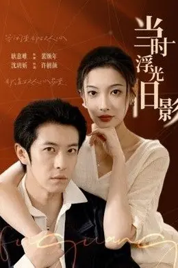 当时浮光旧影海报图片