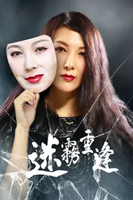 迷雾重逢封面图