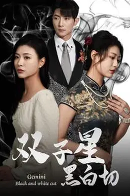 双子星黑白切海报图片