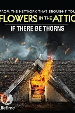 如果有荆棘封面图