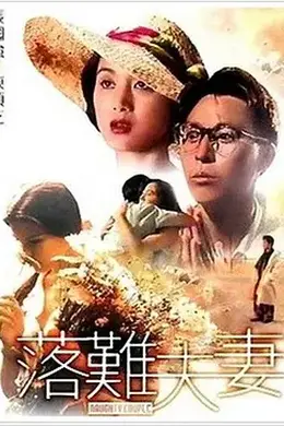 落难夫妻封面图