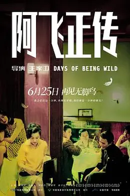 阿飞正传 阿飛正傳国语封面图