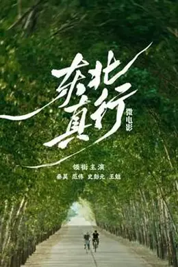 东北真行封面图