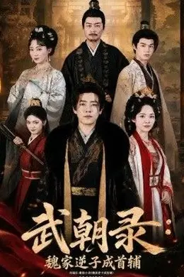 武朝录：魏家逆子成首辅封面图