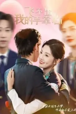 飞不出我的手掌心海报图片