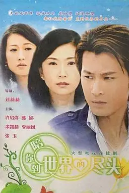 陪你到世界的尽头封面图