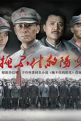 掩不住的阳光封面图