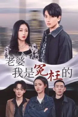 老婆我是冤枉的海报图片