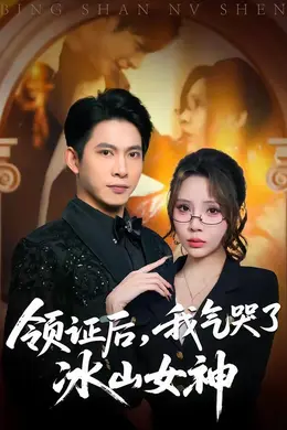 领证后，我气哭了冰山女神封面图