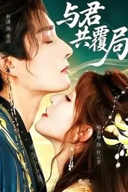 与君共覆局封面图