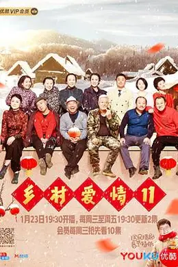 乡村爱情11封面图