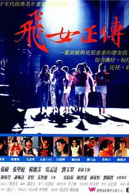 飞女正传封面图