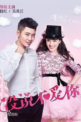 没说不爱你封面图