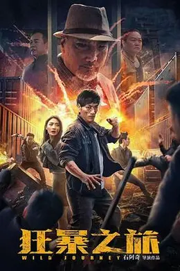 狂暴之旅封面图